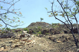 Fort Wall of Old Rajagriha