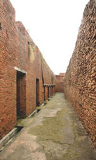 Ruins of Nalanda University