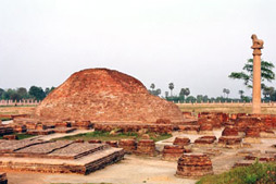 Ashok Pillar (Kolhua)